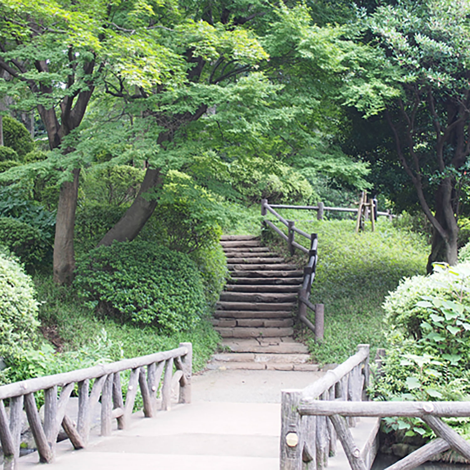広尾のくらし 意外にも が多い街 のくらし 暮らし再発見マガジン 広尾のくらし 意外にも が多い街 のくらし 暮らし再発見マガジン
