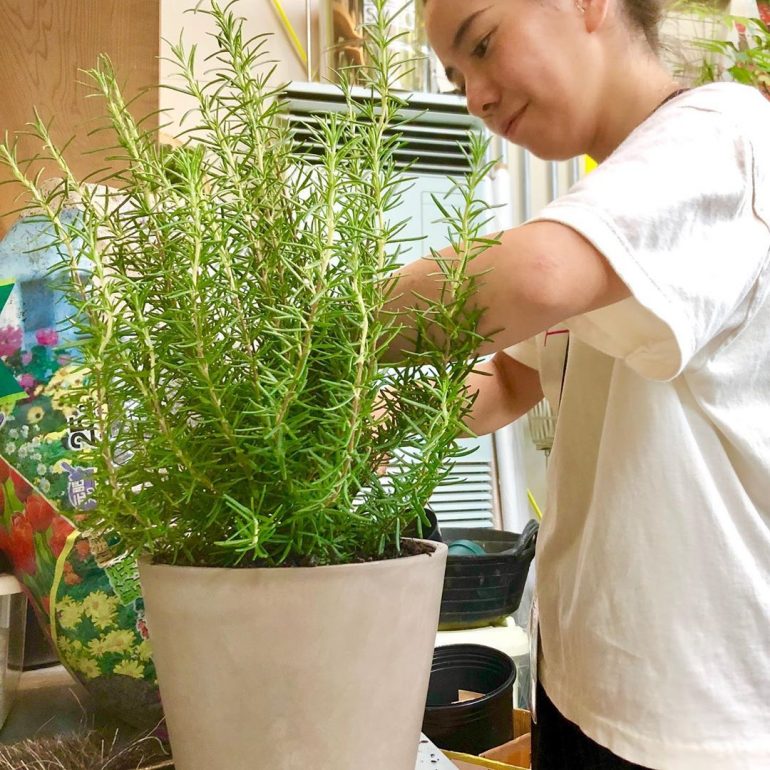 育てて食べよう!SOLSOに聞く植物とのおいしい暮らし