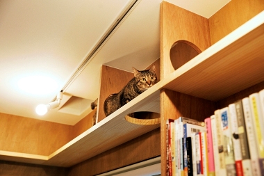 猫と本とビール