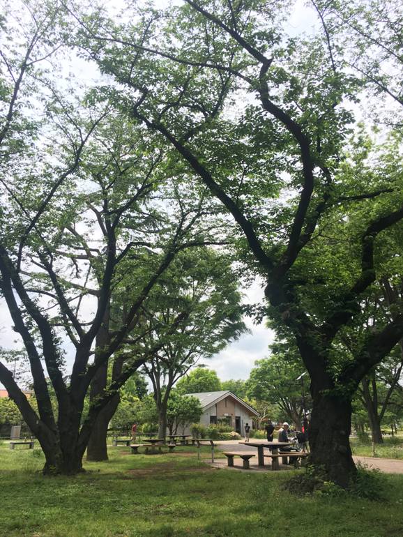三鷹・武蔵野のくらし－家族で暮らしを楽しむ、武蔵野エリアのいくつかの風景