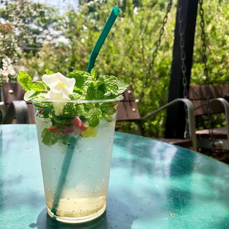 育てて食べよう!SOLSOに聞く植物とのおいしい暮らし