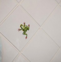 ワンルームと動くロフト